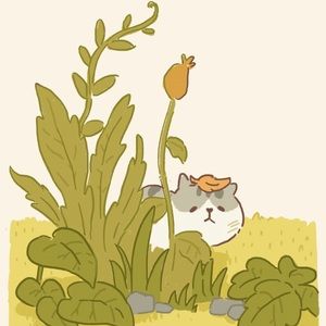 Meet your Posher, Abigail